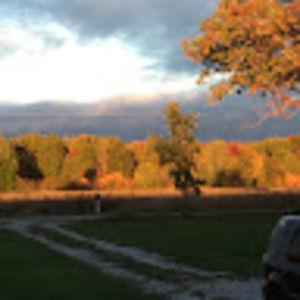 Meet your Posher, Minerva